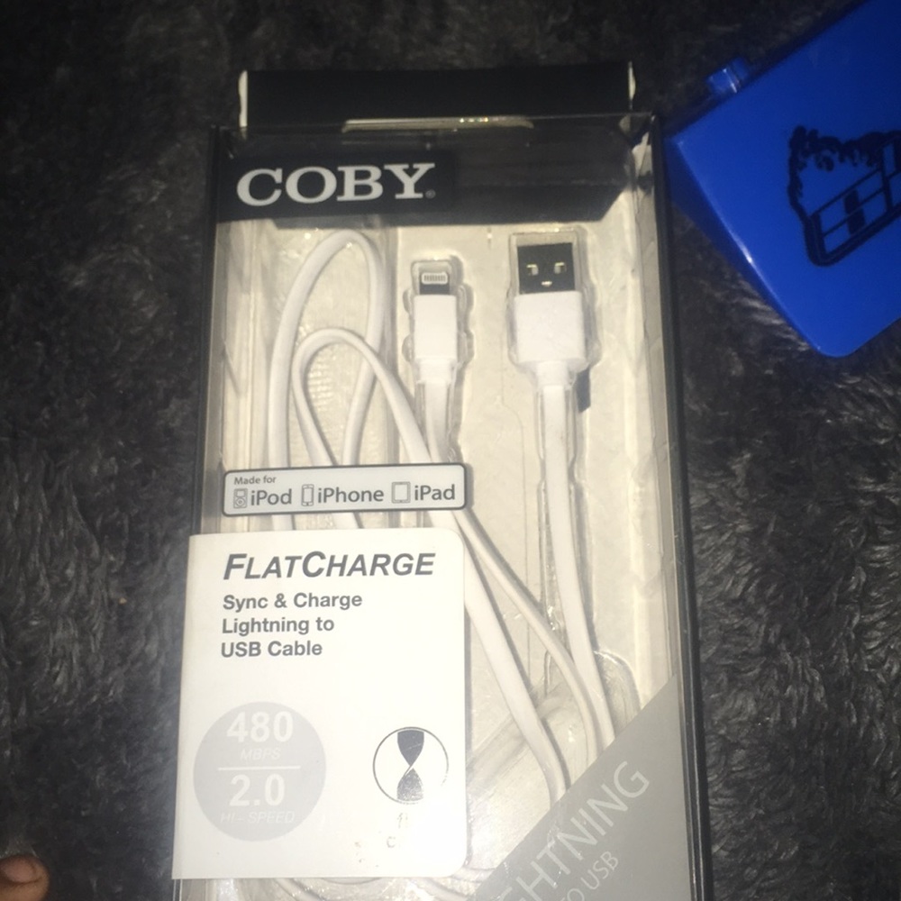 iPhone charger